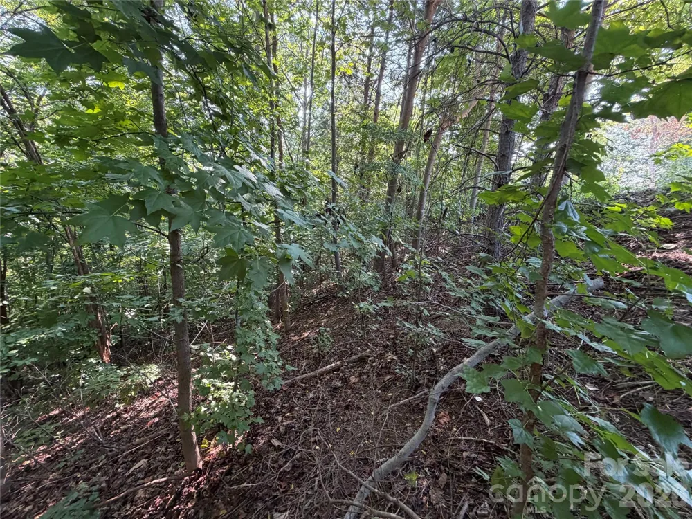 00 Holland Drive #24 Columbus, NC 28722