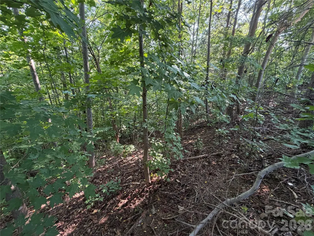00 Holland Drive #24 Columbus, NC 28722
