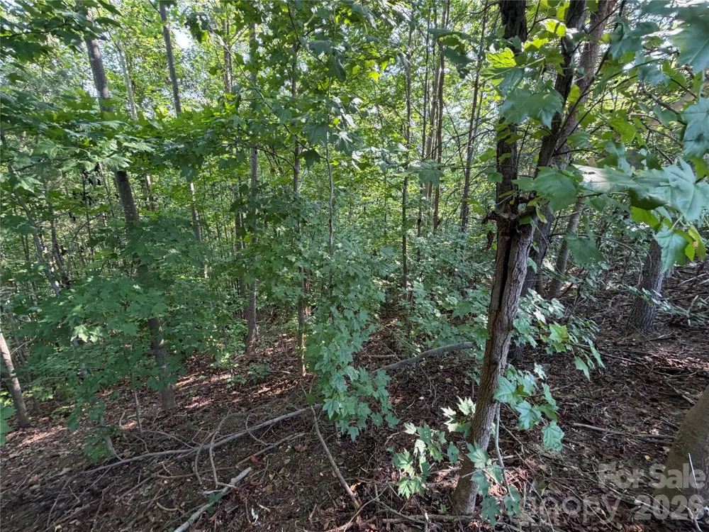 00 Holland Drive #24 Columbus, NC 28722