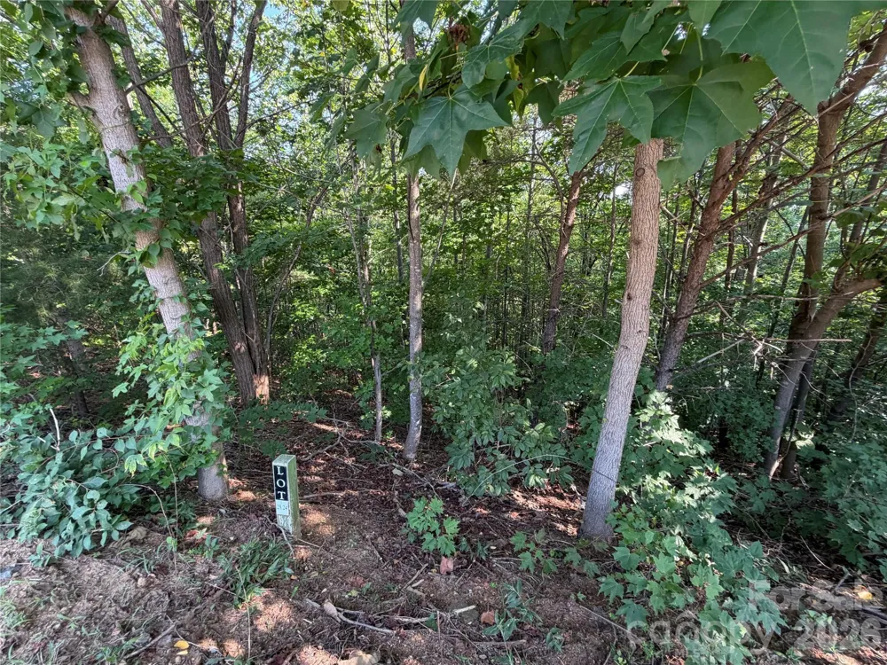00 Holland Drive #24 Columbus, NC 28722