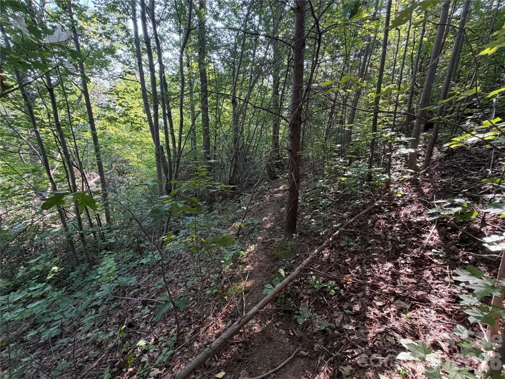 00 Holland Drive #24 Columbus, NC 28722