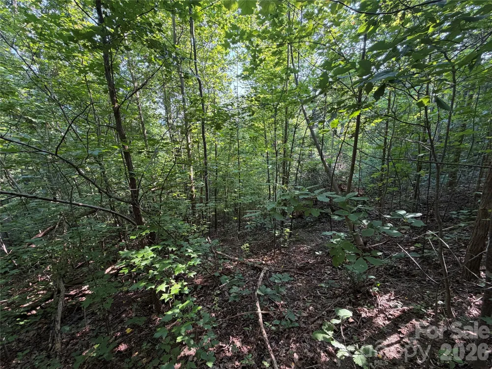 00 Holland Drive #24 Columbus, NC 28722