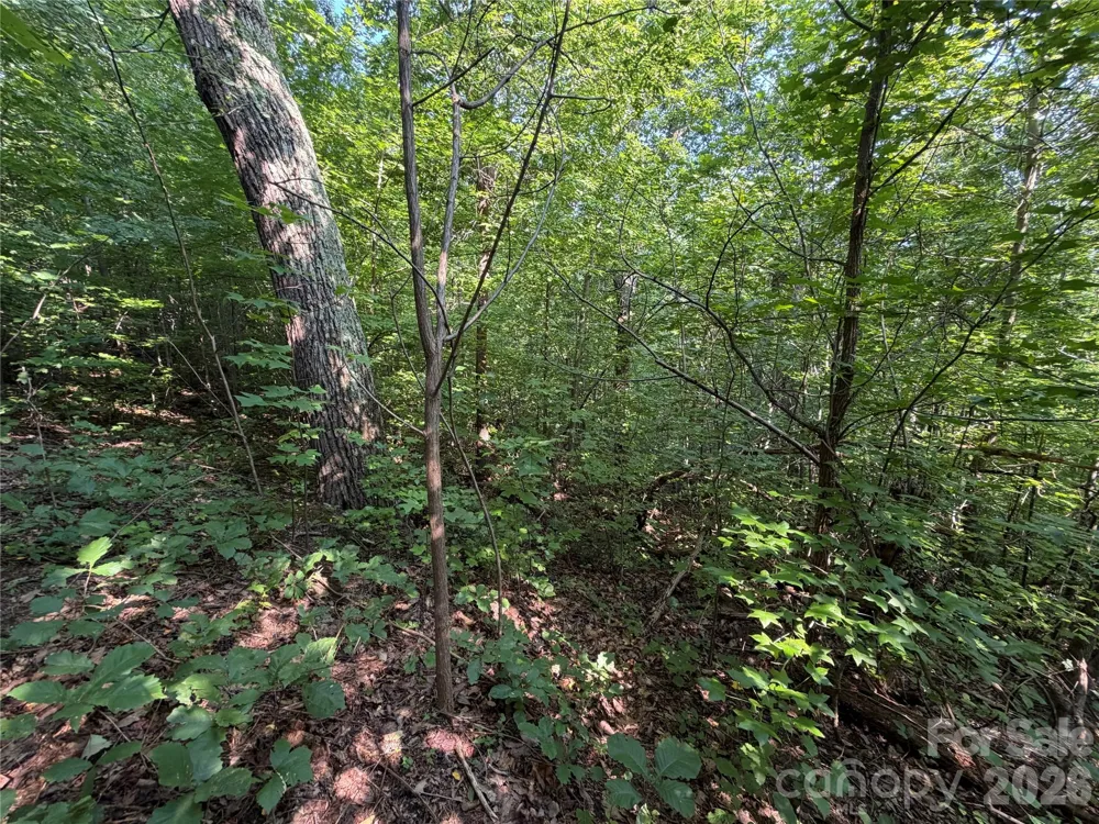 00 Holland Drive #24 Columbus, NC 28722