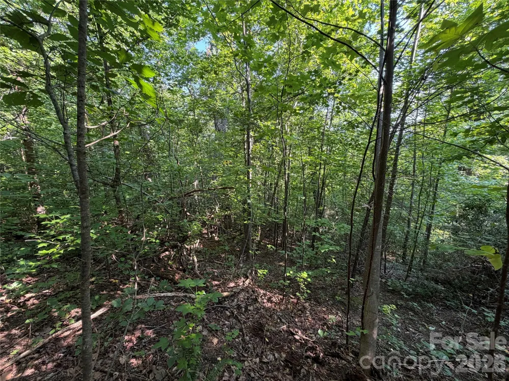 00 Holland Drive #24 Columbus, NC 28722