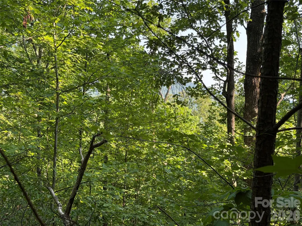 00 Holland Drive #24 Columbus, NC 28722