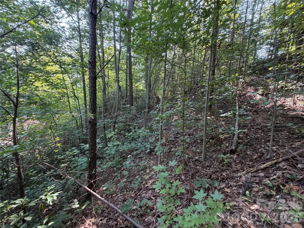 00 Holland Drive #24 Columbus, NC 28722
