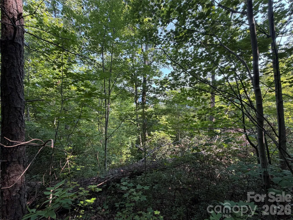 00 Holland Drive #24 Columbus, NC 28722