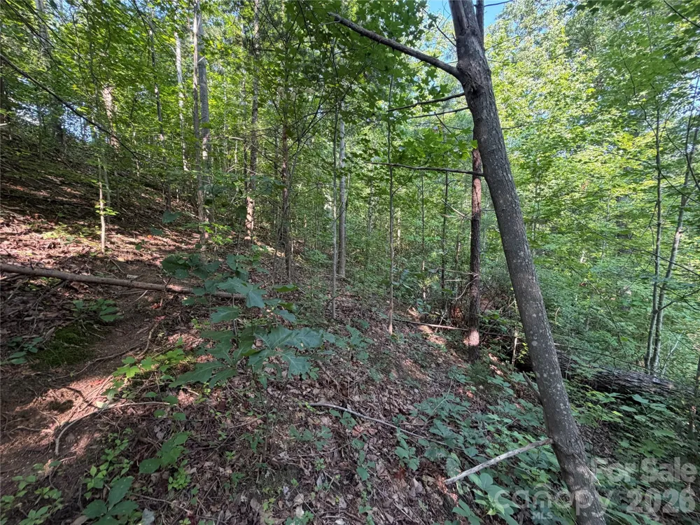00 Holland Drive #24 Columbus, NC 28722