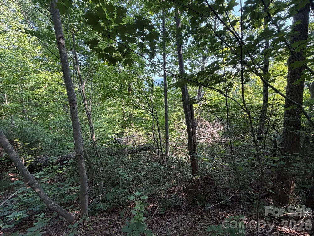 00 Holland Drive #24 Columbus, NC 28722