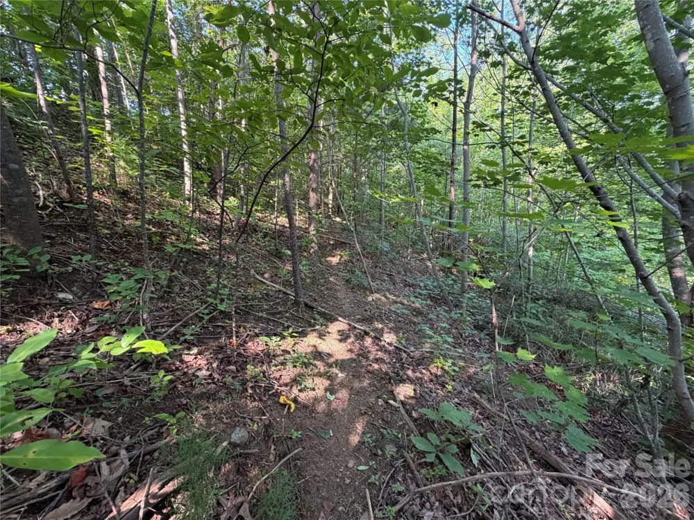 00 Holland Drive #24 Columbus, NC 28722