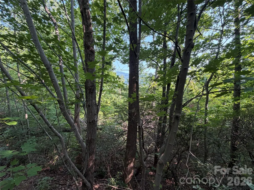 00 Holland Drive #24 Columbus, NC 28722