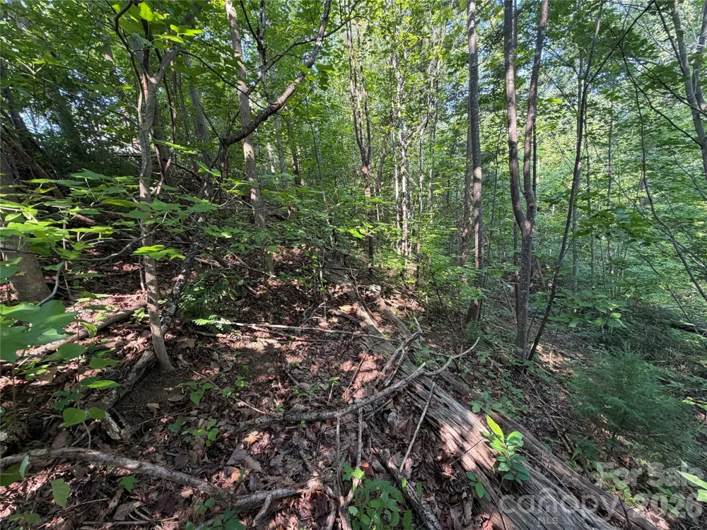 00 Holland Drive #24 Columbus, NC 28722