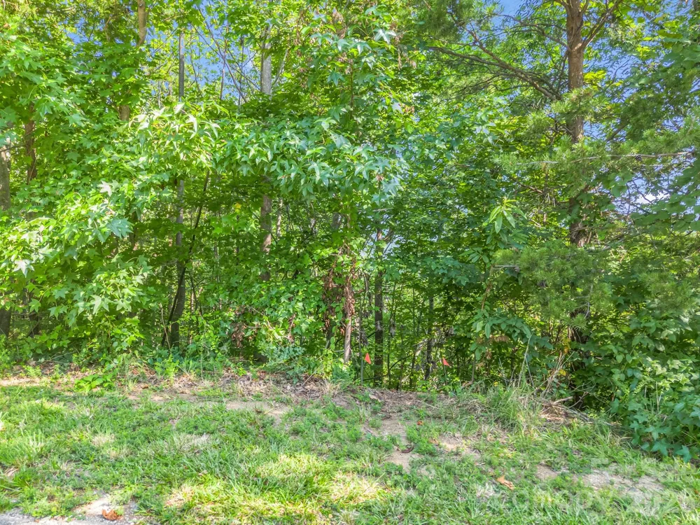 00 Holland Drive #24 Columbus, NC 28722