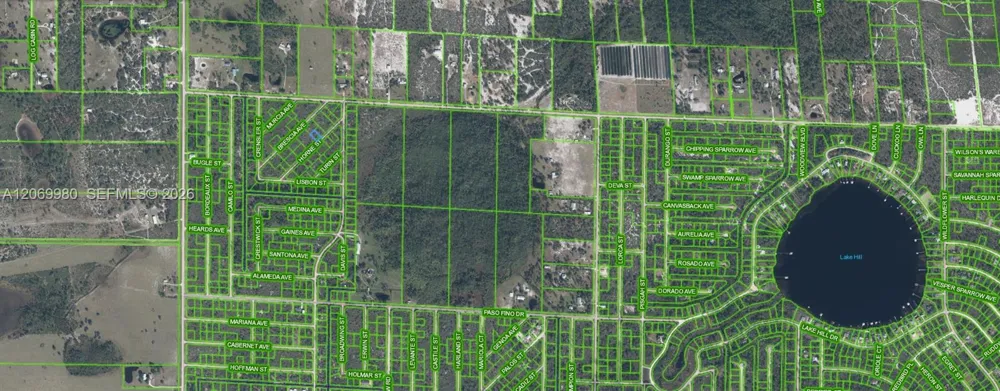 3517 HORNE STREET Lake Placid, FL 33852