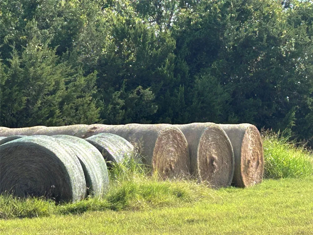 Fm 219 Clifton, TX 76634