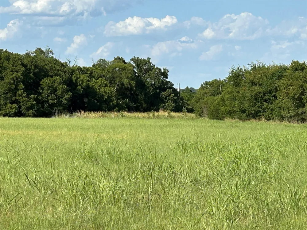 Fm 219 Clifton, TX 76634