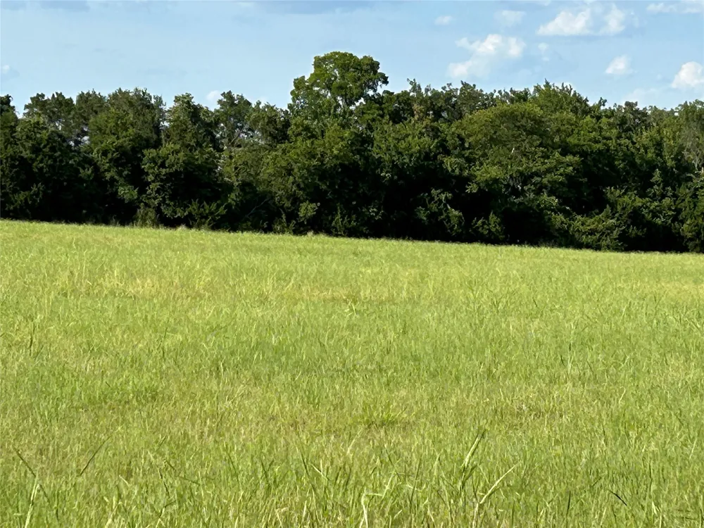 Fm 219 Clifton, TX 76634