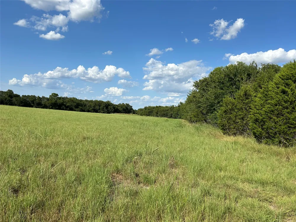 Fm 219 Clifton, TX 76634