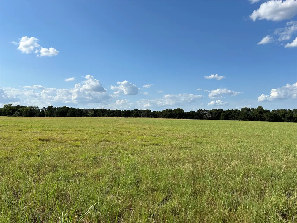 Fm 219 Clifton, TX 76634