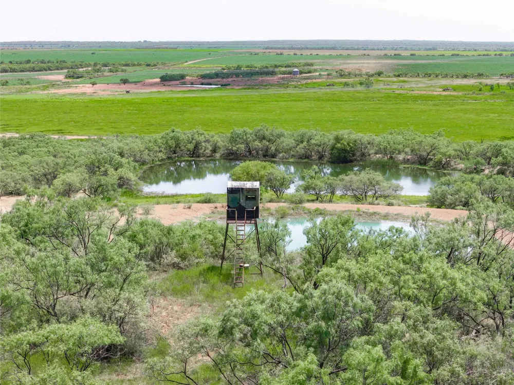 5782 FM 2131 Coleman, TX 76834