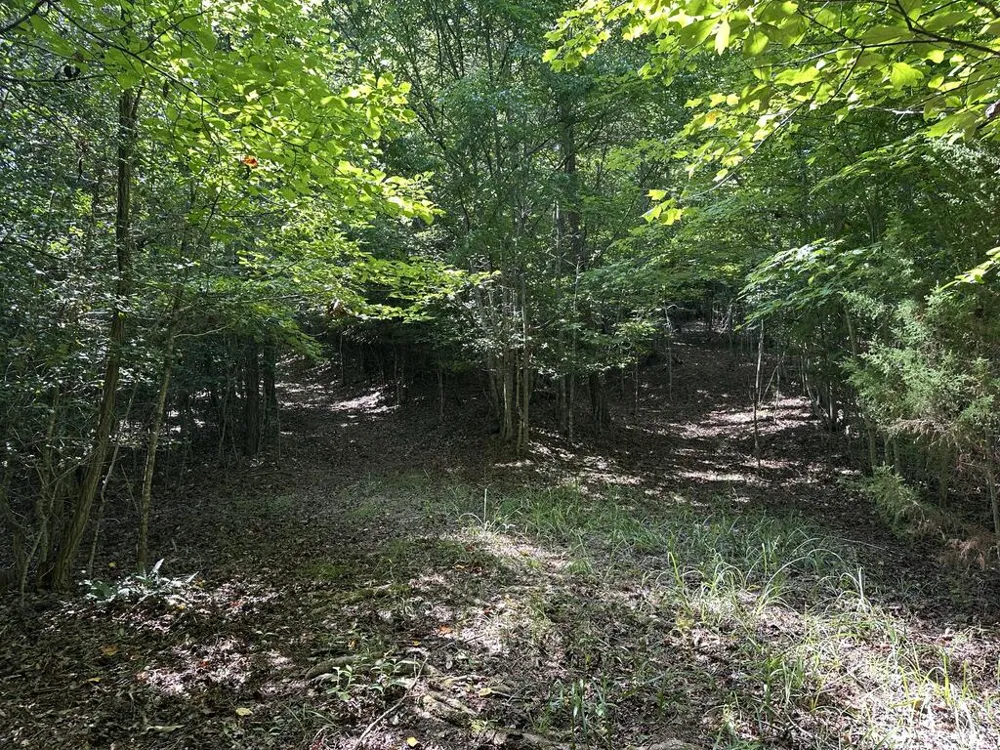 TBD Stonefly Cove Hayesville, NC 28904