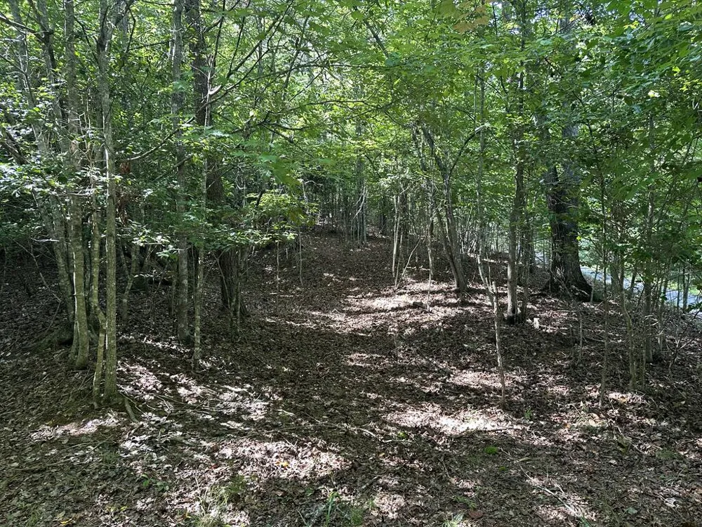 TBD Stonefly Cove Hayesville, NC 28904