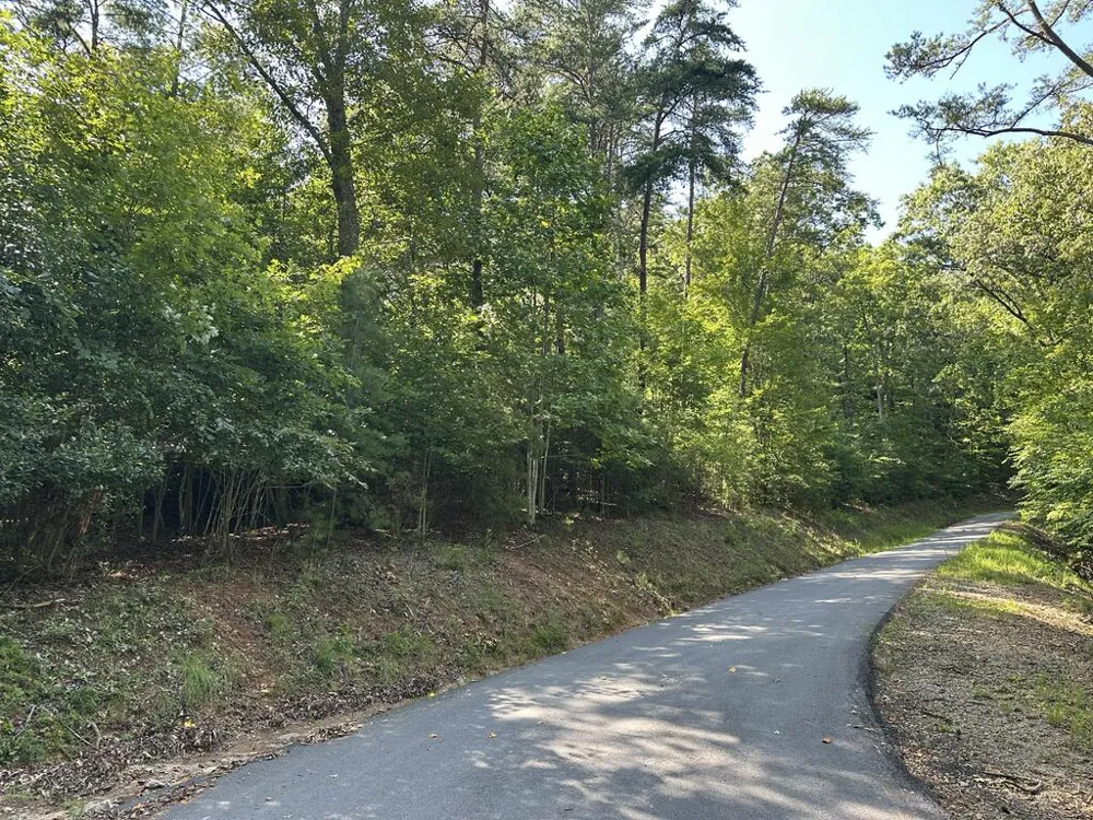 TBD Stonefly Cove Hayesville, NC 28904
