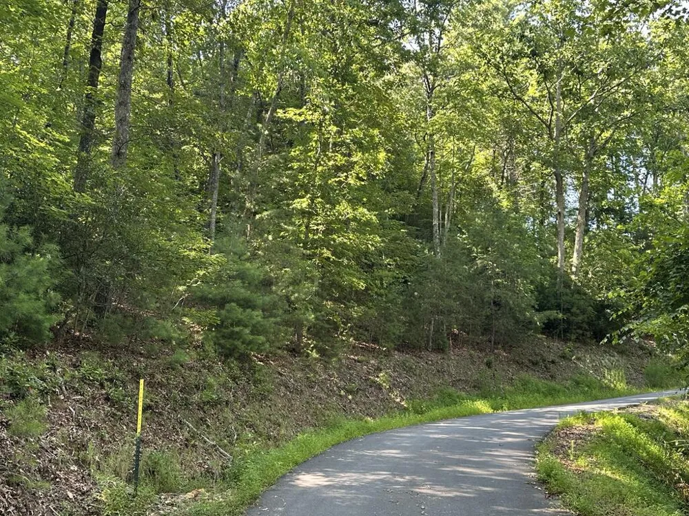 TBD Stonefly Cove Hayesville, NC 28904