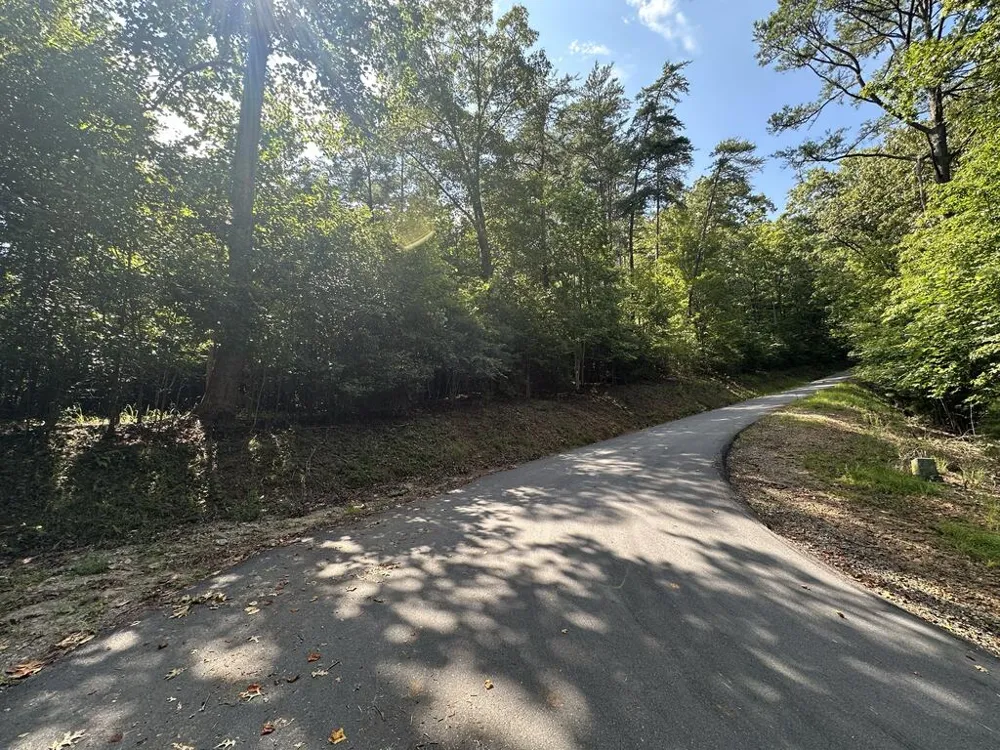 TBD Stonefly Cove Hayesville, NC 28904