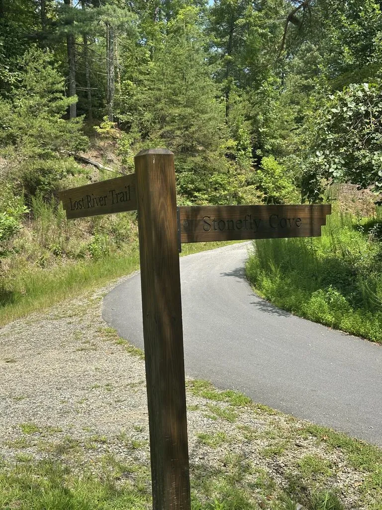 TBD Stonefly Cove Hayesville, NC 28904
