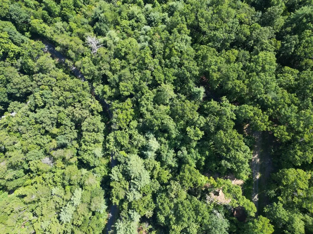 TBD Stonefly Cove Hayesville, NC 28904