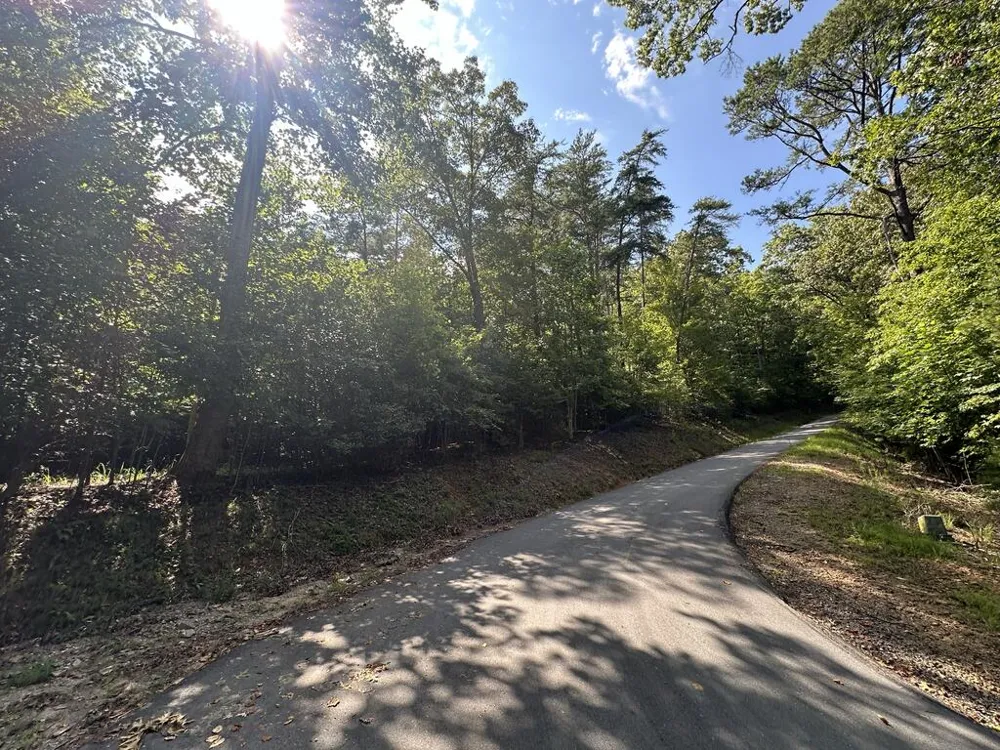 TBD Stonefly Cove Hayesville, NC 28904