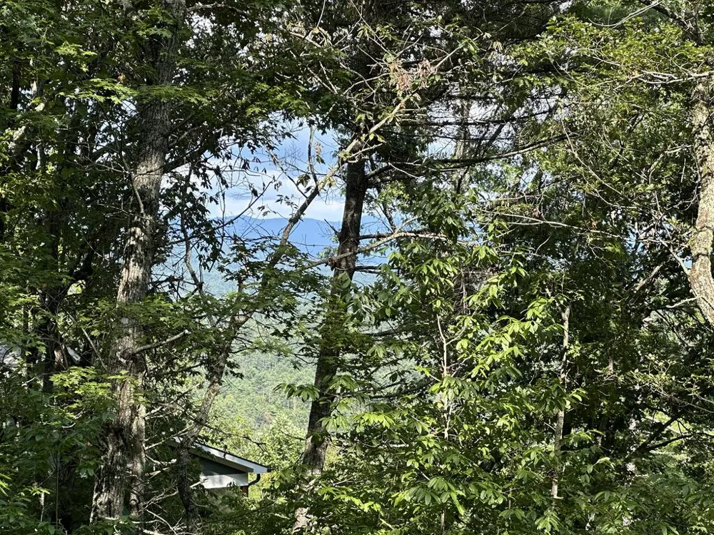 TBD Stonefly Cove Hayesville, NC 28904