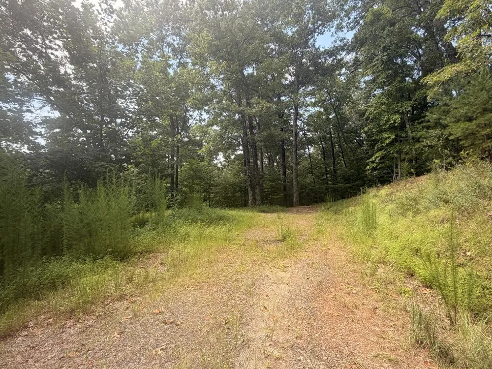 TBD Stonefly Cove Hayesville, NC 28904
