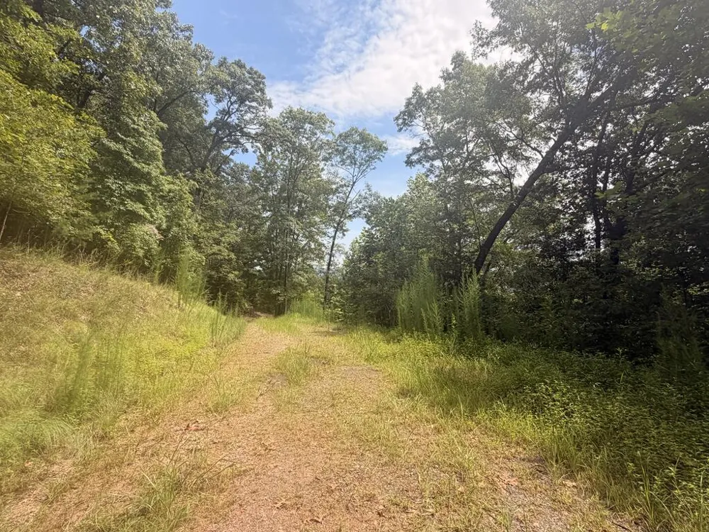 TBD Stonefly Cove Hayesville, NC 28904