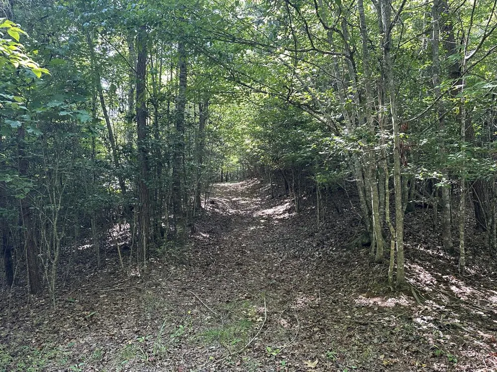TBD Stonefly Cove Hayesville, NC 28904