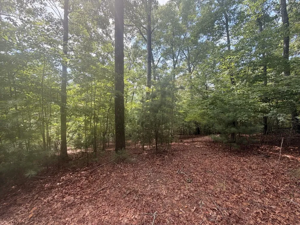 TBD Stonefly Cove Hayesville, NC 28904