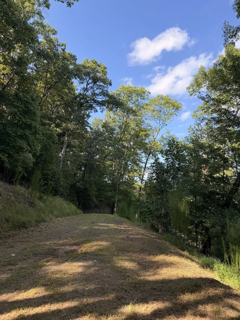 TBD Stonefly Cove Hayesville, NC 28904