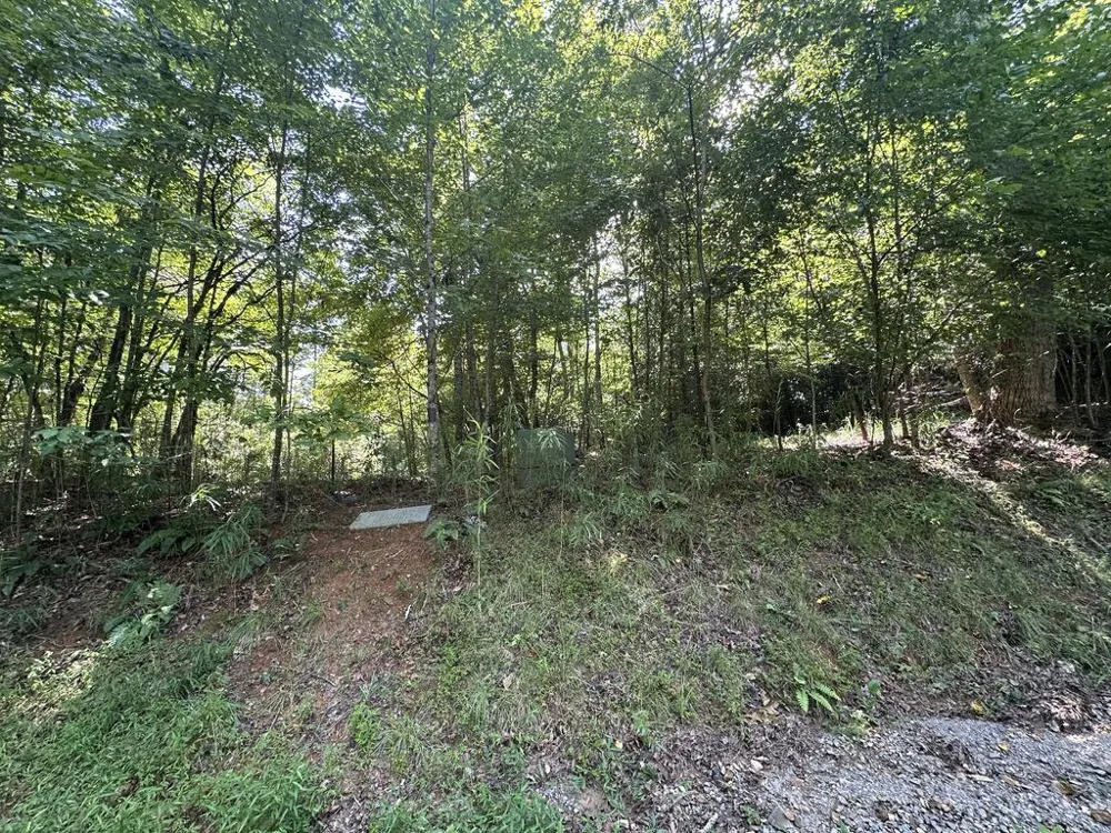 TBD Stonefly Cove Hayesville, NC 28904