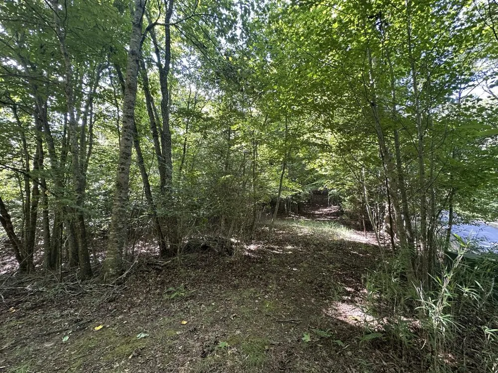 TBD Stonefly Cove Hayesville, NC 28904