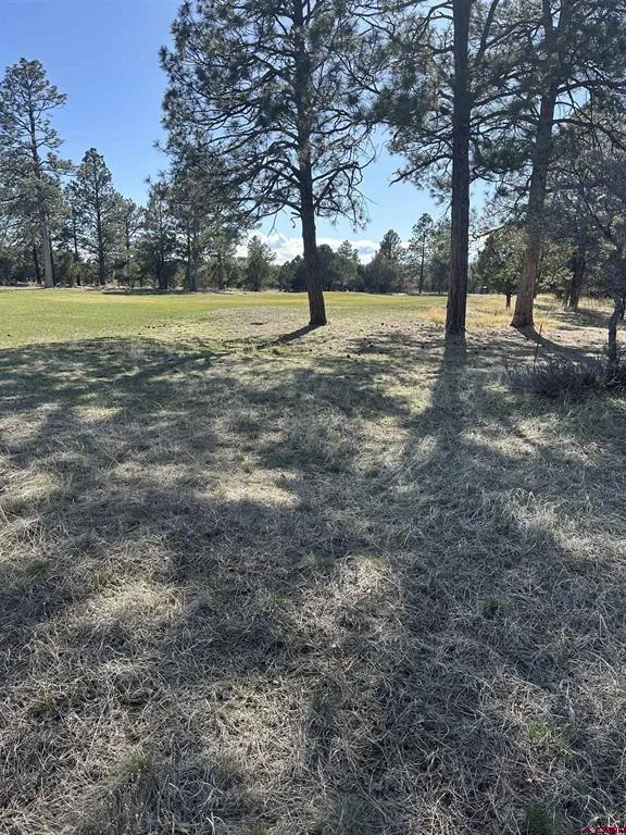 314 Marmot Drive Ridgway, CO 81432