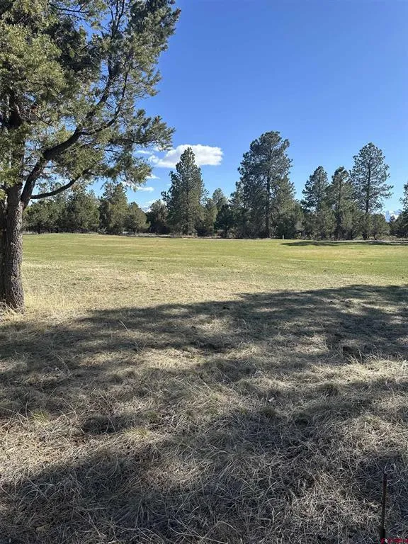 314 Marmot Drive Ridgway, CO 81432