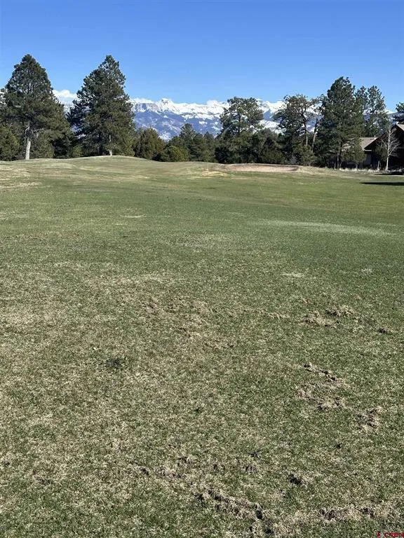 314 Marmot Drive Ridgway, CO 81432