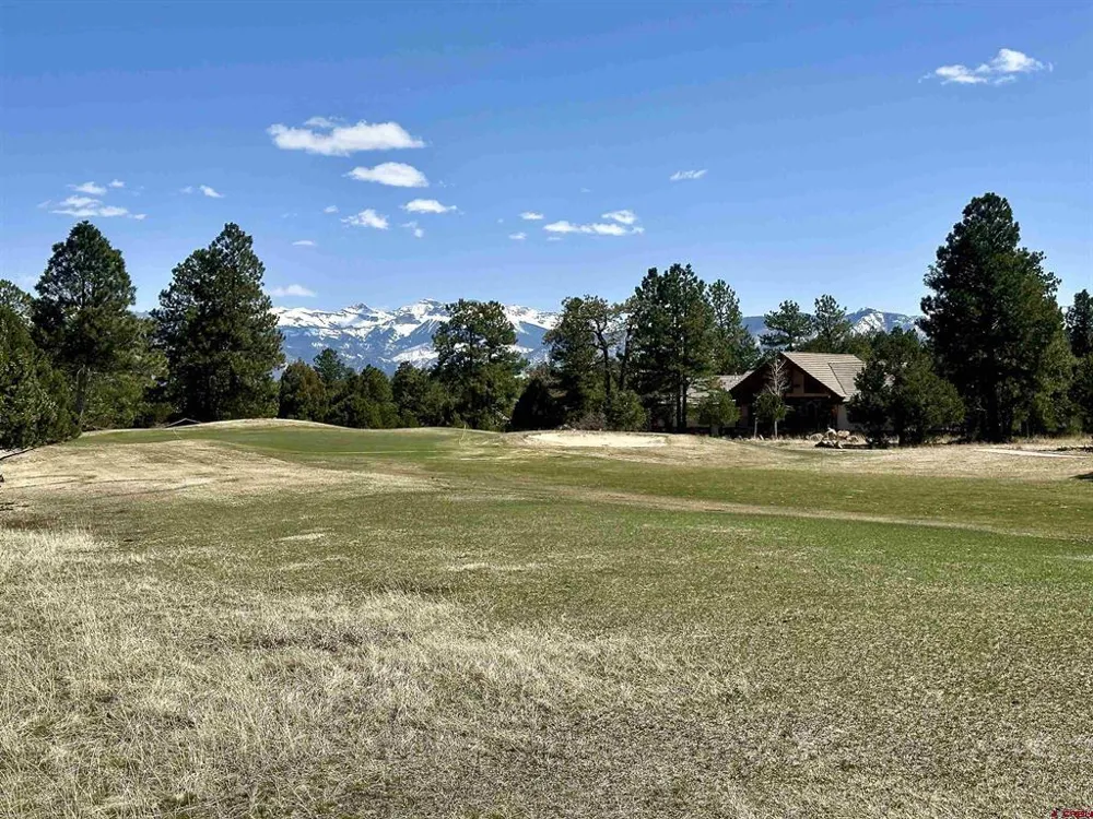 314 Marmot Drive Ridgway, CO 81432