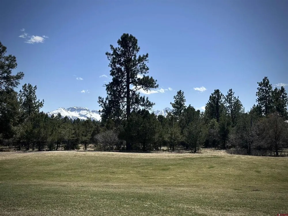 314 Marmot Drive Ridgway, CO 81432