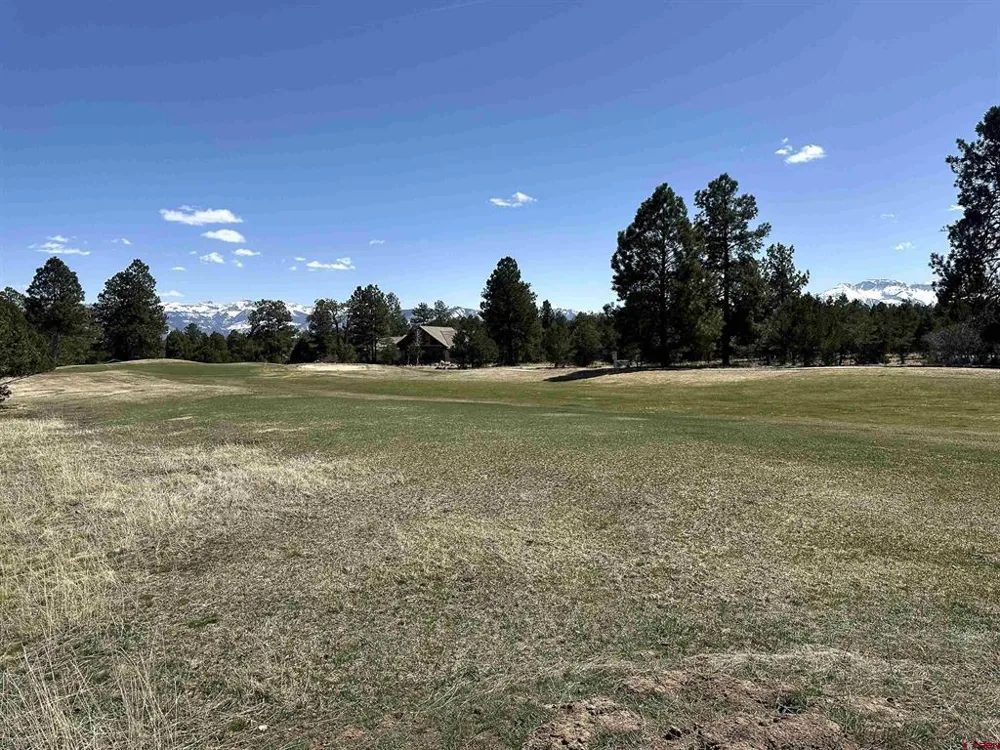 314 Marmot Drive Ridgway, CO 81432