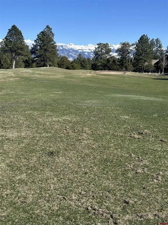314 Marmot Drive Ridgway, CO 81432