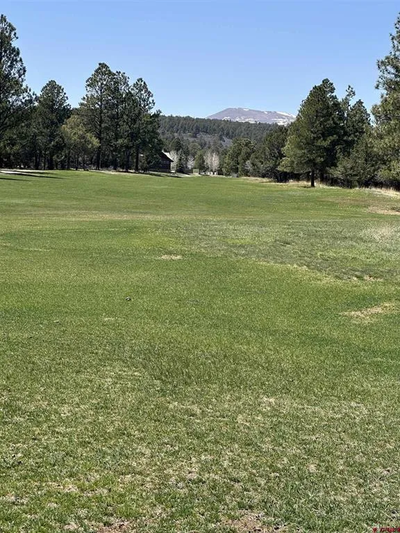 314 Marmot Drive Ridgway, CO 81432