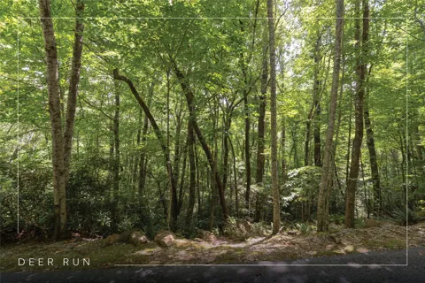 Lot 54 Toxaway Lane