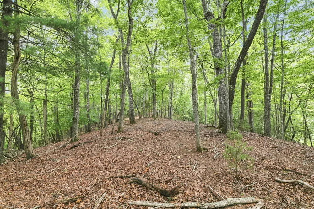 Willow Wind Heights Franklin, NC 28734